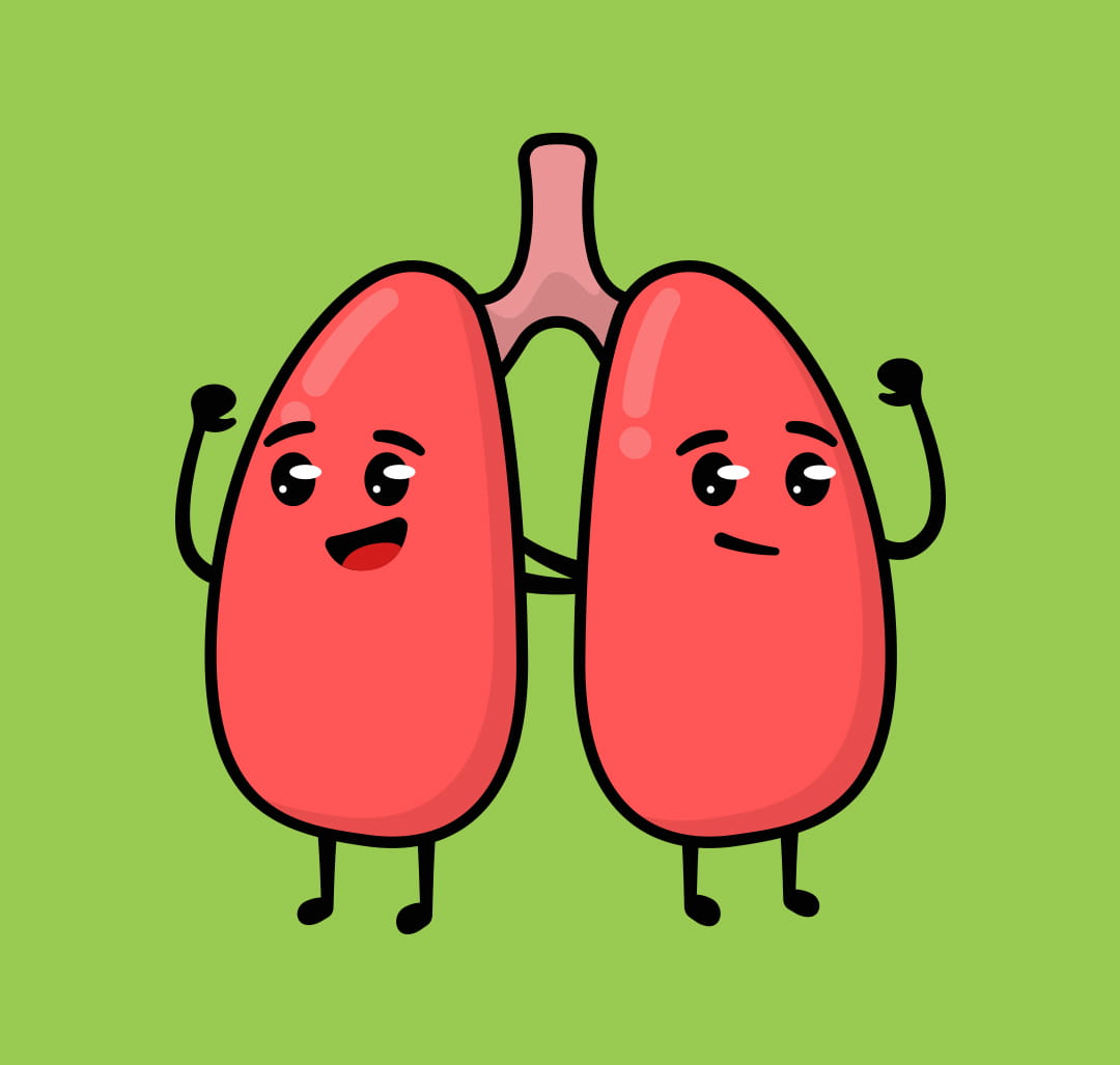 Healthy lungs vs Smokers lungs